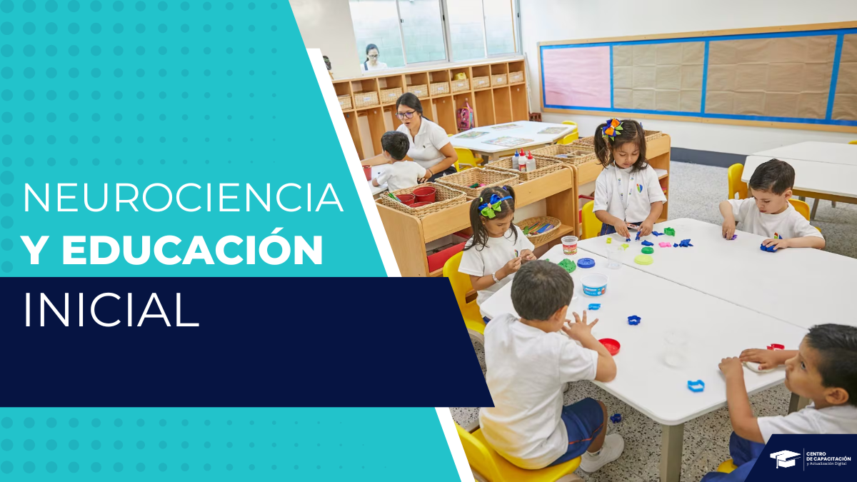 NEUROCIENCIA Y EDUCACIÓN INICIAL