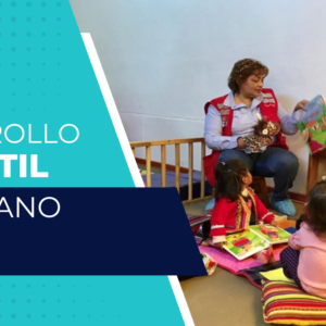 DESARROLLO INFANTIL TEMPRANO